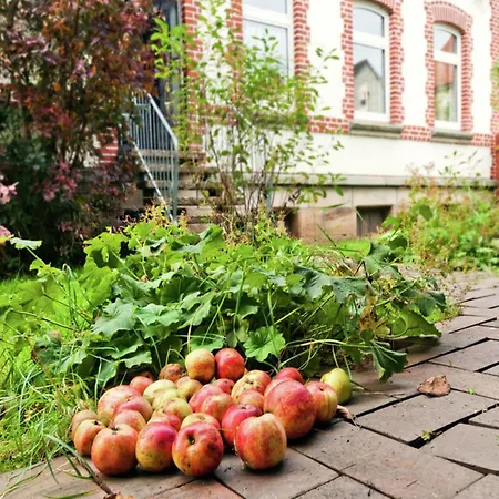 Oude Pastorie En Dorpsschool Netze-waldeck * Netze